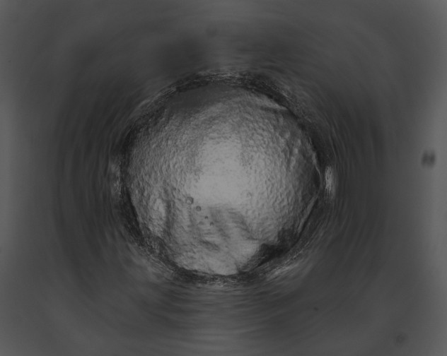 X0000091191203200708301230