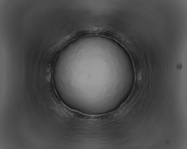 X0000091191204200708301230