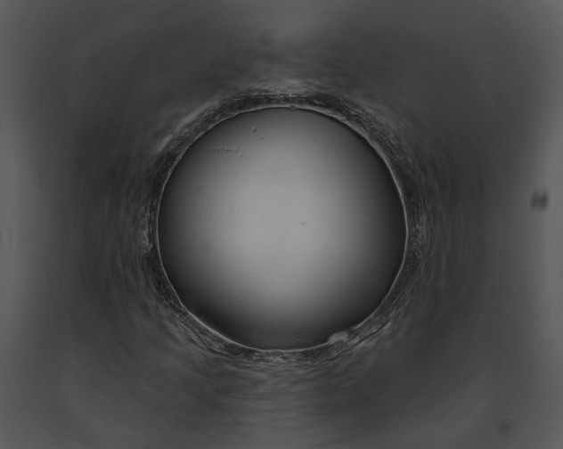 X0000091191205200708301230