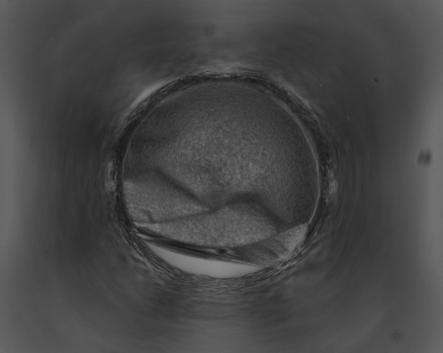 X0000091191206200708301230