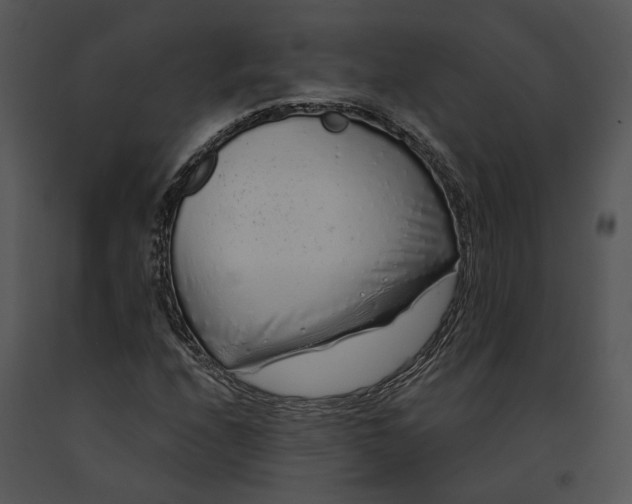 X0000091191208200708301230