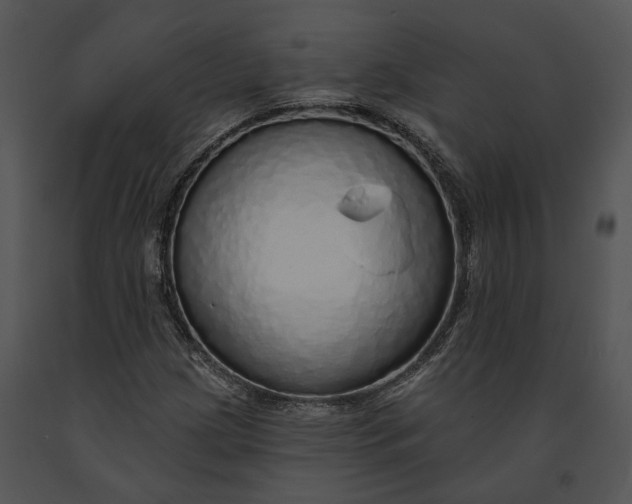 X0000091191209200708301230