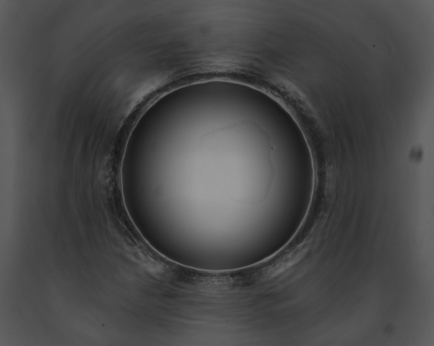 X0000091191210200708301230