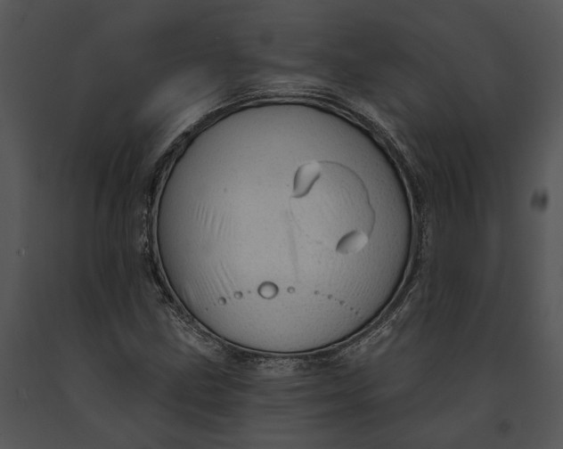 X0000091191211200708301230