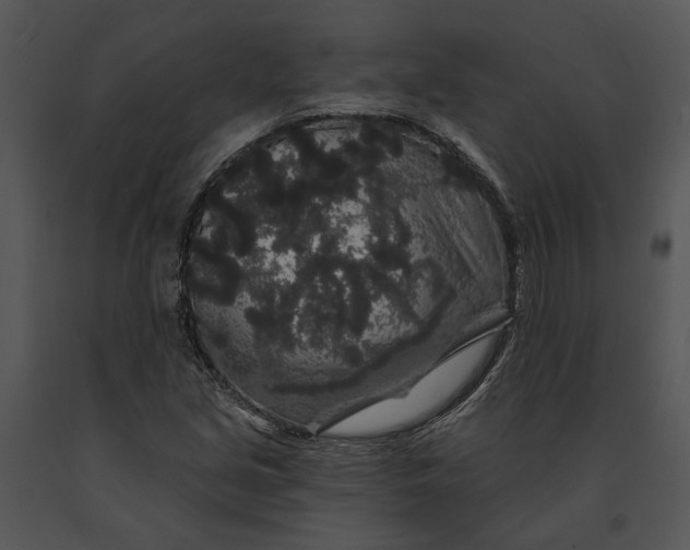 X0000091191213200708301230