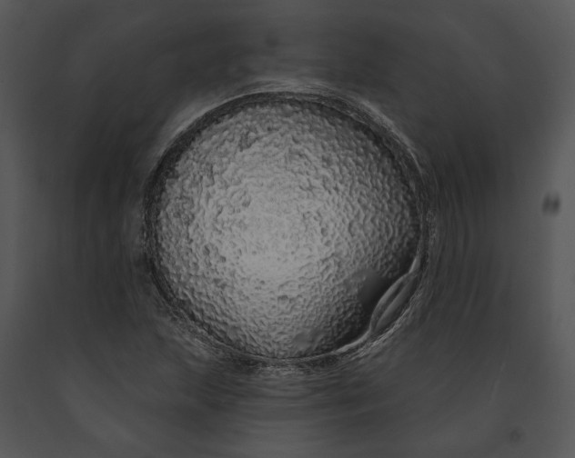 X0000091191215200708301230