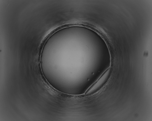 X0000091191216200708301230