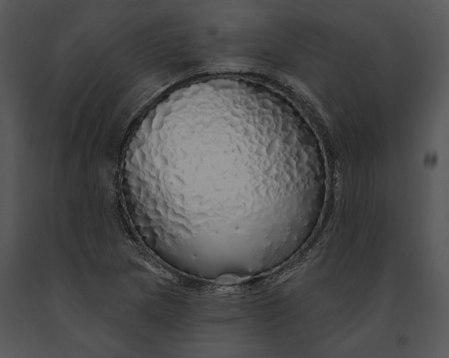 X0000091191217200708301230