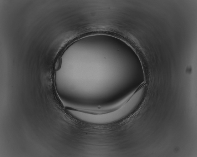 X0000091191218200708301230