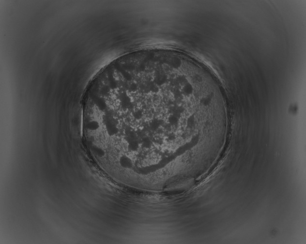 X0000091191219200708301230