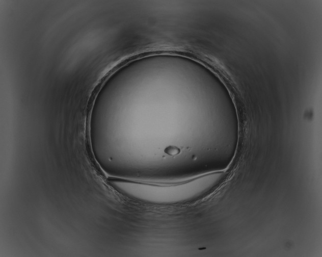 X0000091191220200708301230