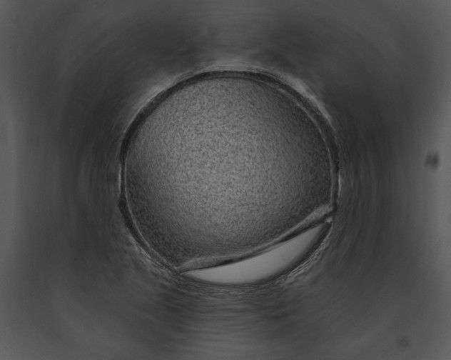 X0000091191221200708301230