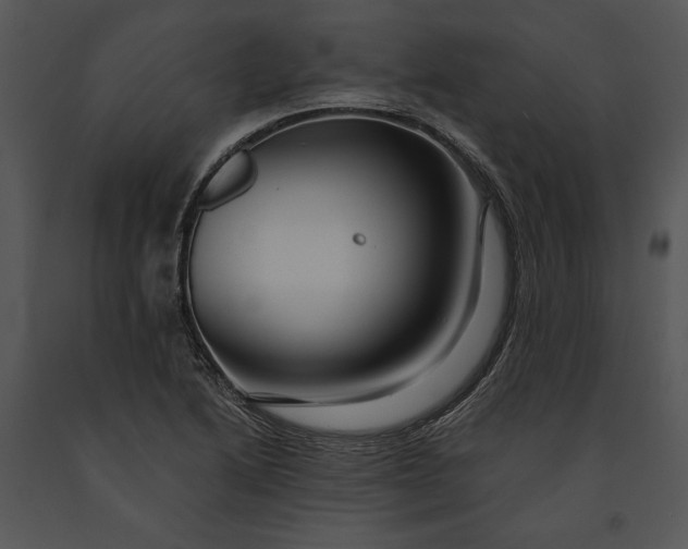 X0000091191222200708301230