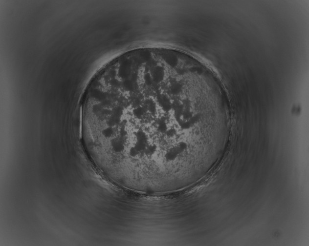 X0000091191223200708301230