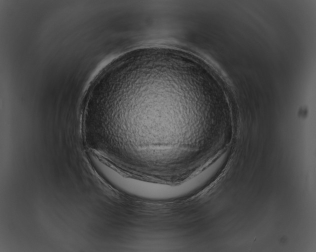 X0000091191224200708301230