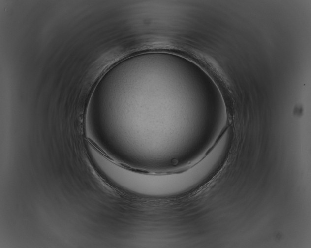 X0000091191225200708301230