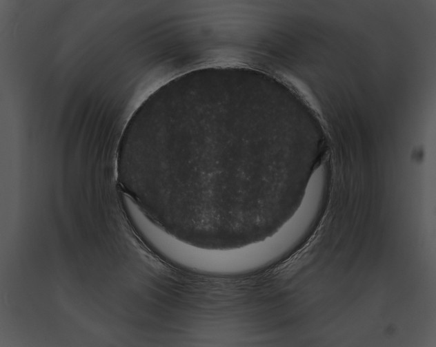 X0000091191226200708301230