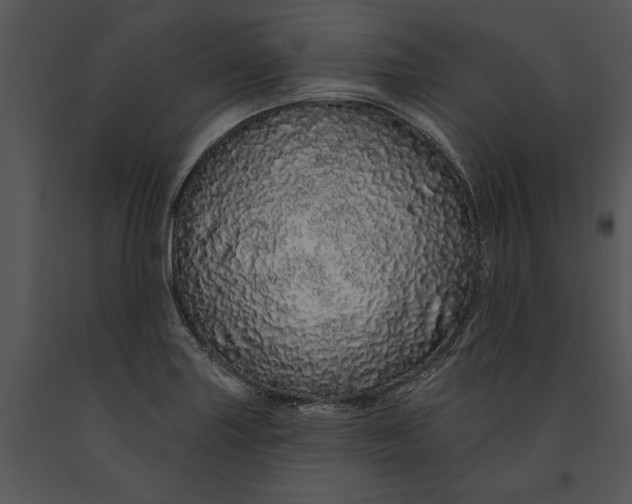 X0000091191227200708301230