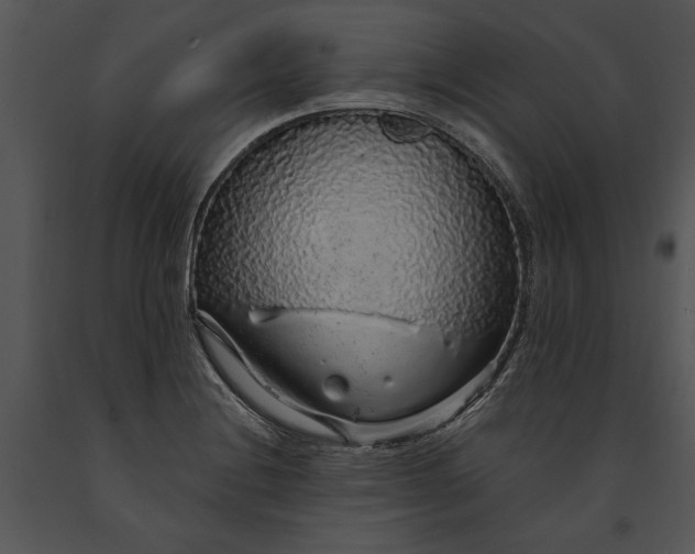 X0000091191228200708301230