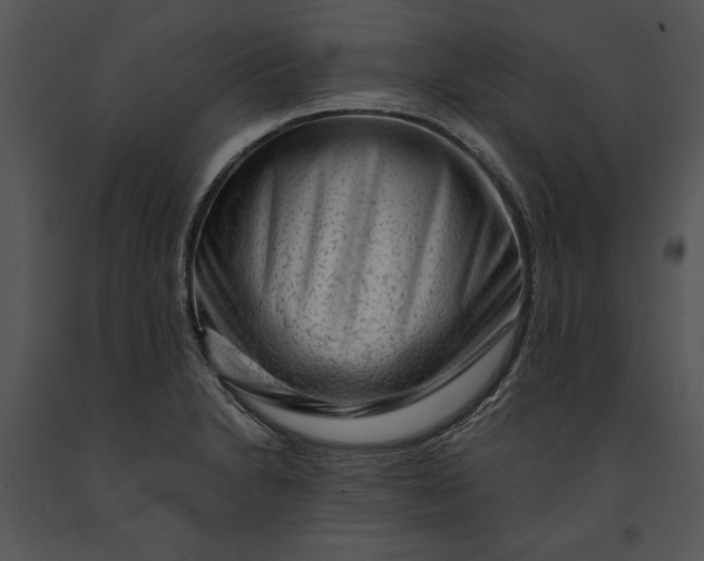 X0000091191230200708301230