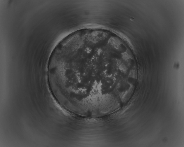 X0000091191231200708301230