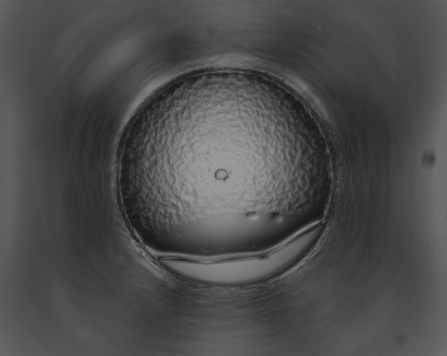 X0000091191232200708301230