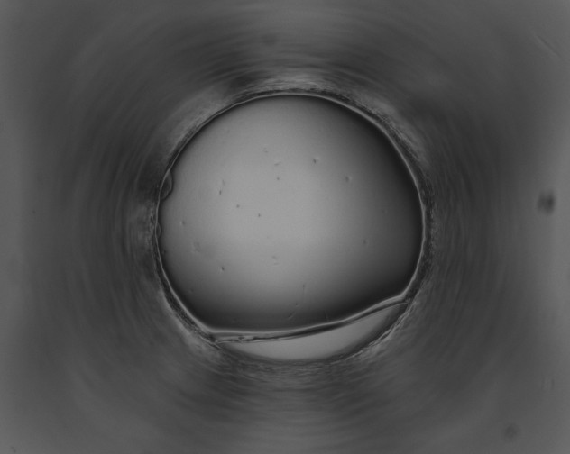 X0000091191233200708301230