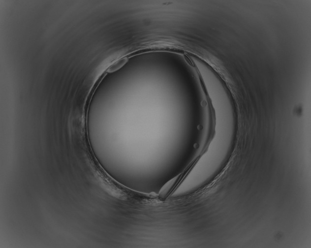 X0000091191234200708301230