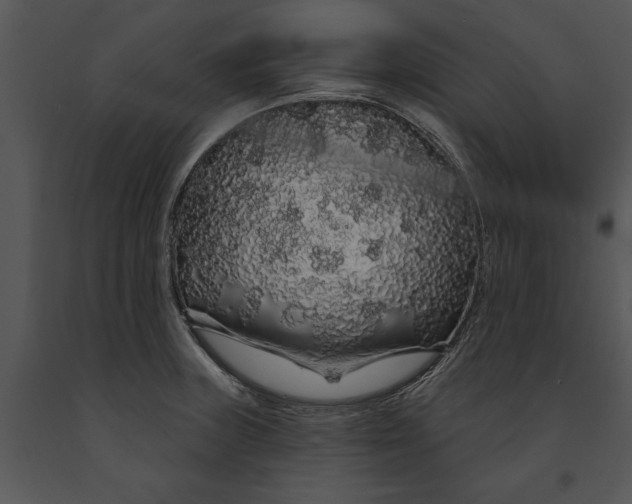 X0000091191235200708301230