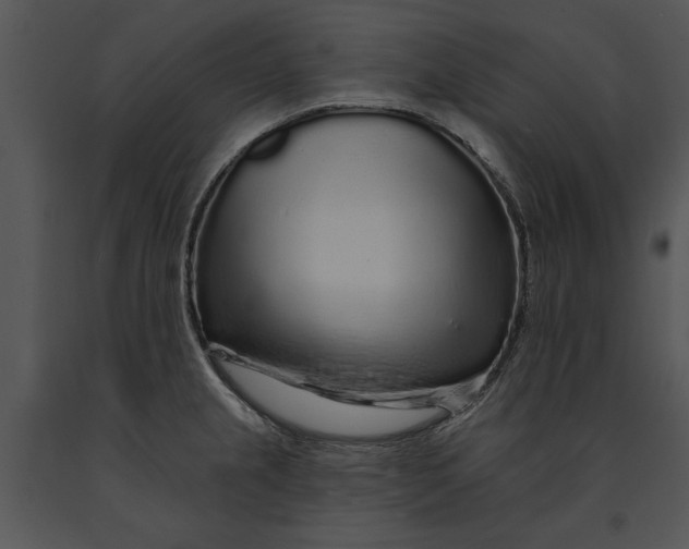 X0000091191237200708301230