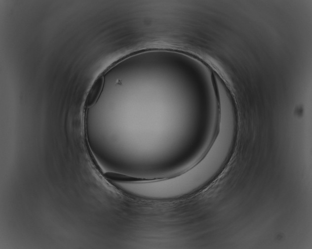 X0000091191238200708301230