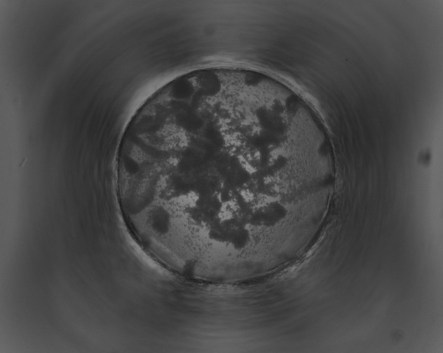 X0000091191239200708301230