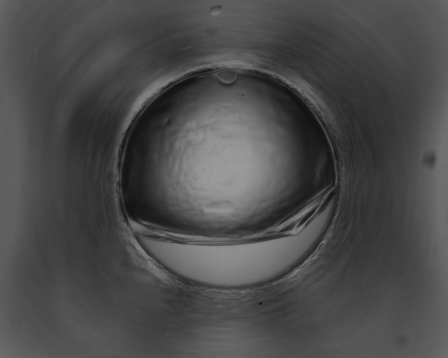 X0000091191240200708301230