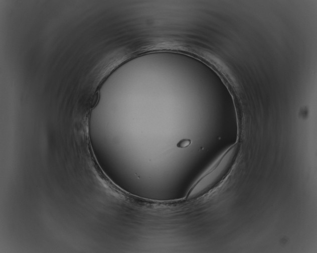 X0000091191241200708301230