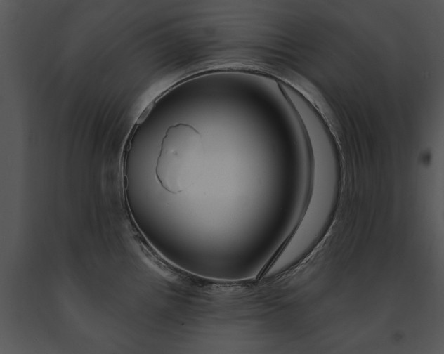 X0000091191242200708301230