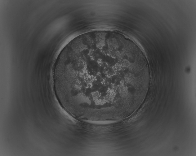 X0000091191243200708301230