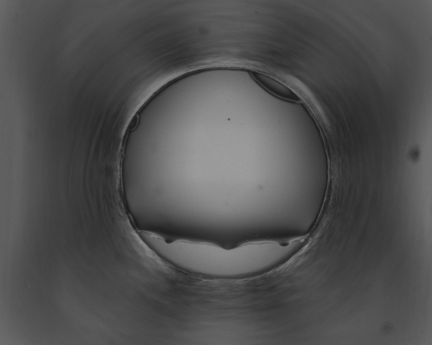 X0000091191244200708301230