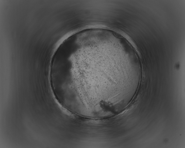 X0000091191245200708301230