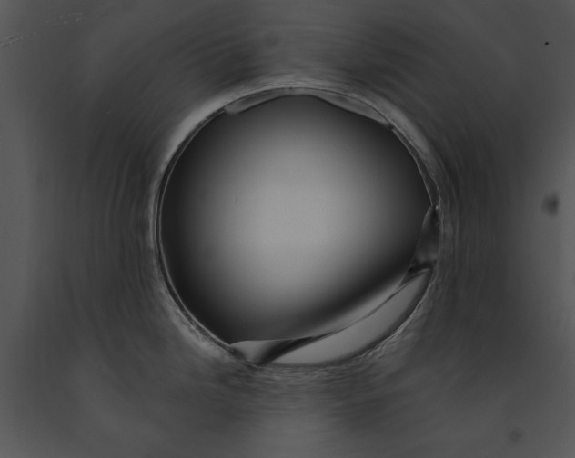 X0000091191246200708301230