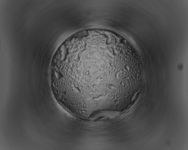 X0000091191247200708301230