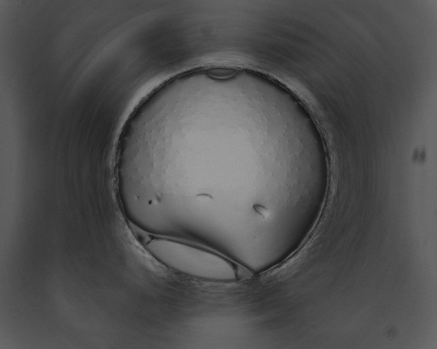 X0000091191248200708301230