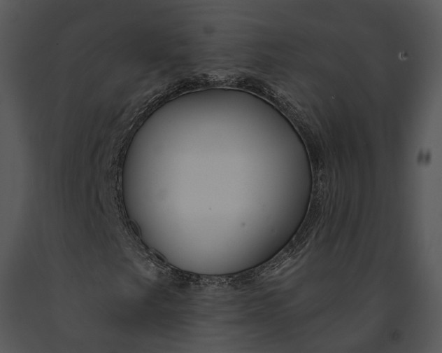 X0000091191249200708301230