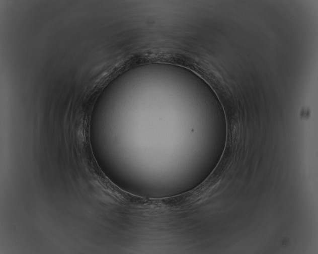 X0000091191250200708301230