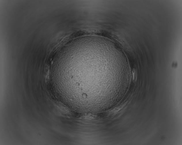 X0000091191251200708301230