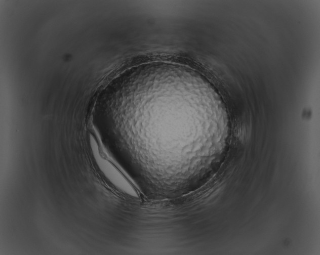 X0000091191252200708301230