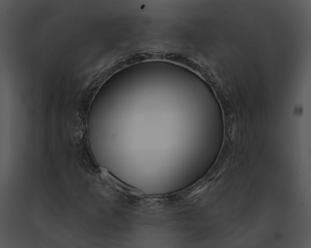 X0000091191253200708301230