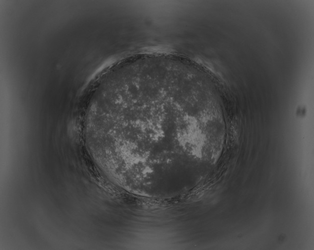 X0000091191254200708301230