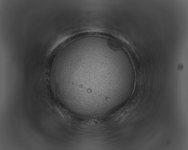 X0000091191255200708301230