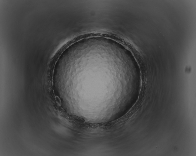 X0000091191256200708301230