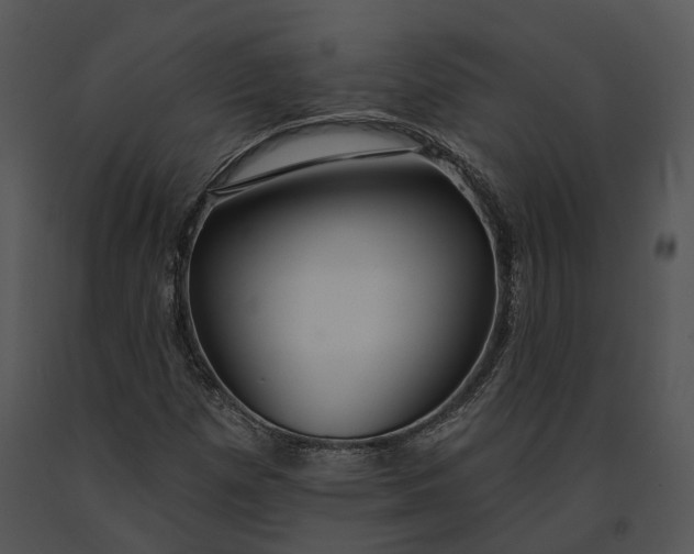 X0000091191257200708301230